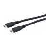 CABLE USB 3.1 GEN2 USB-C (M) - (M) 100W 3m