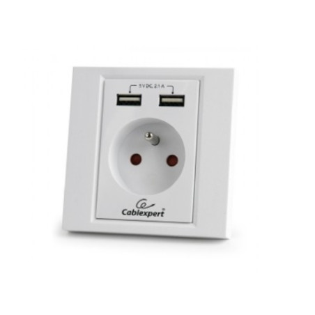 BASE TOMA SCHUKO CON 2 USB