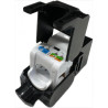 CONECTOR UTP RJ45 HEMBRA PANEL CAT6A TOOLESS