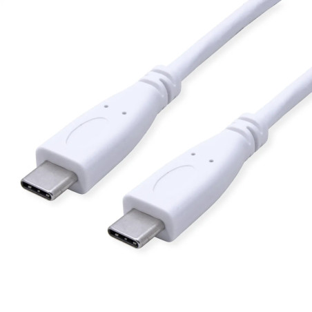 CABLE USB-C 3.2 GEN 2  M- M DP 4K 1m 10G BLANCO