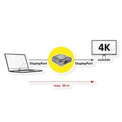 VIDEO EXTENDER DISPLAYPORT  30Mts 3840x2160 @60Hz