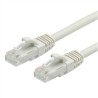 LATIGUILLO UTP CAT6A  FLEXIBLE 2Mts.