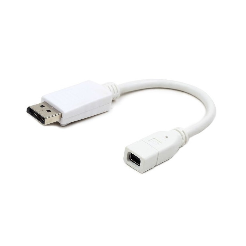 ADAPTADOR DISPLAYPORT M - MINIDISPLAYPORT H 0.10m