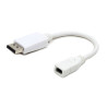 ADAPTADOR DISPLAYPORT M - MINIDISPLAYPORT H 0.10m