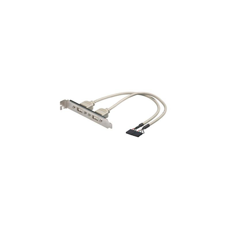 CABLE INTERNO PLACA BASE A SLOT USB 2 PTOS