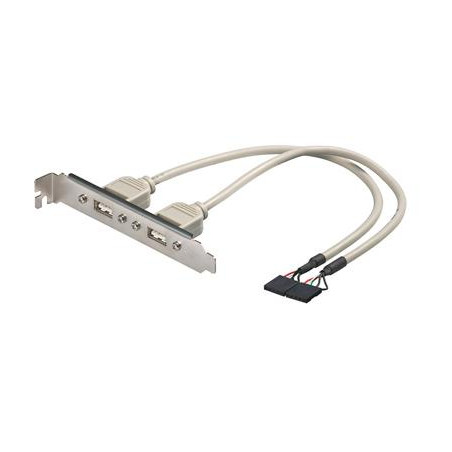 CABLE INTERNO PLACA BASE A SLOT USB 2 PTOS