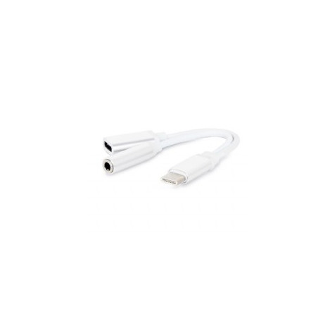 ADAPTADOR USB-C 3.1 MACHO - JACK 3.5 TETRAPOLAR H