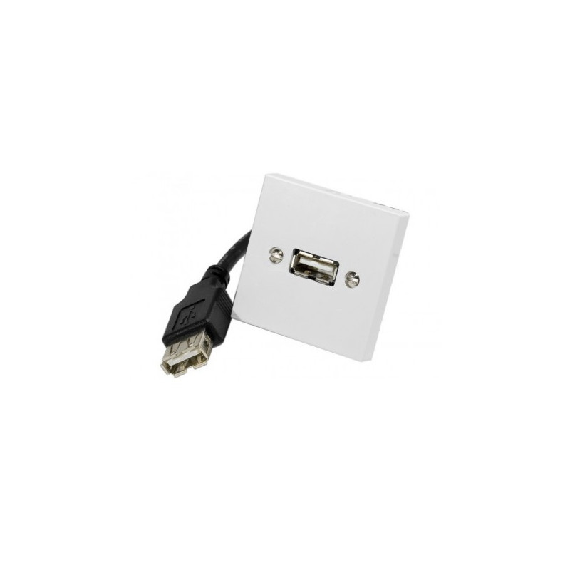 MODULO FRONTAL 45 X 45 USB TIPO A-A H-H 0.10m