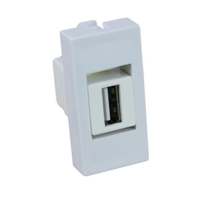MODULO FRONTAL 45 X 22.5 USB TIPO A H-H BLANCO