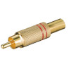 CONECTOR RCA MACHO ALTA CALIDAD DORADO ROJO